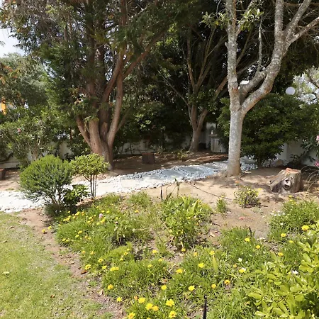 Beira Mar, Alto Golf